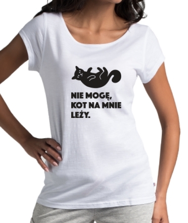 Kot leży